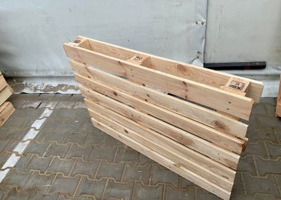 paleta Timret z Połajewa